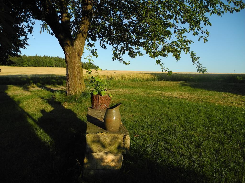 Alte Scheune Rietzschelhof Müglitztal Kültér fotó