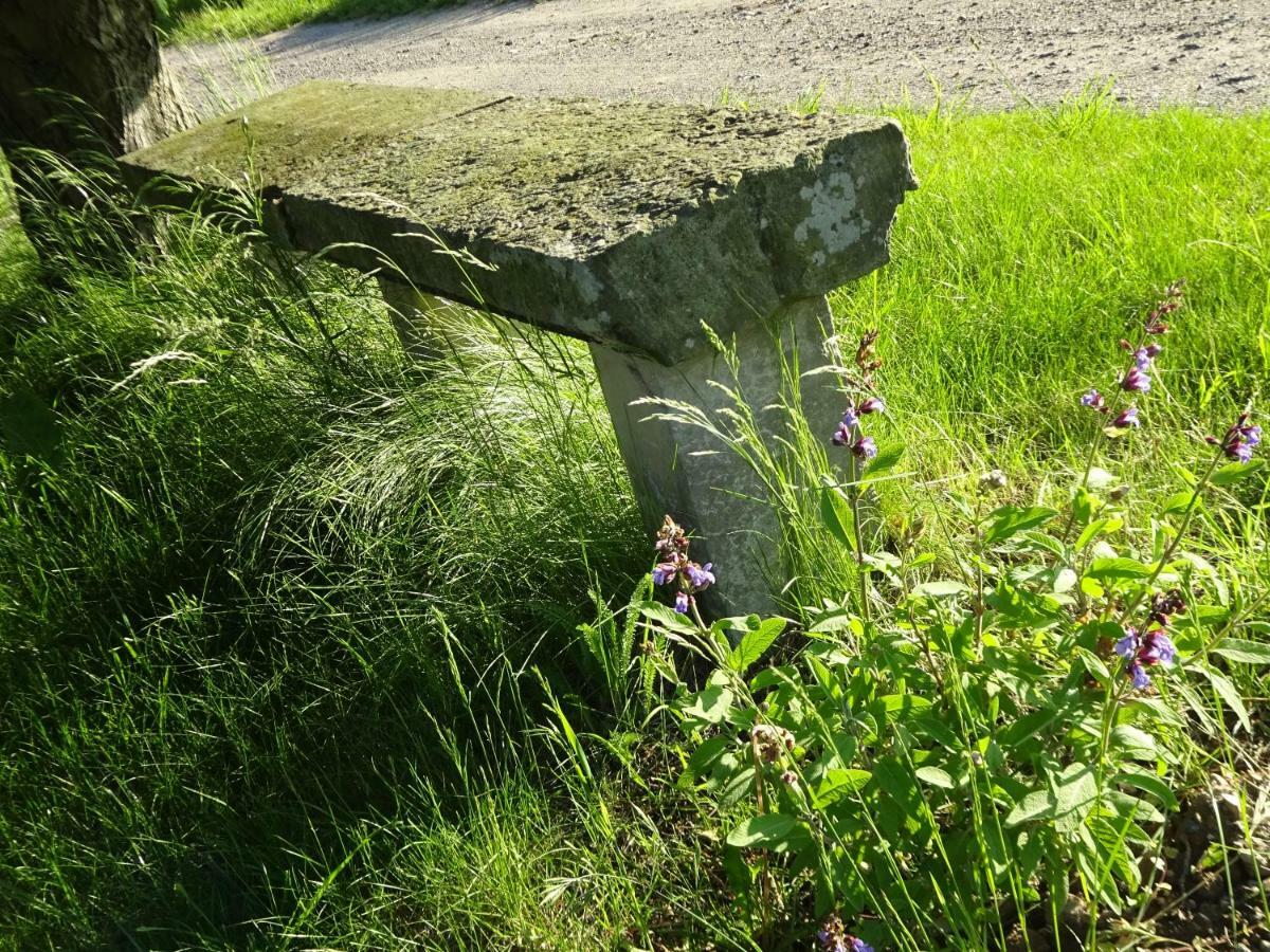 Alte Scheune Rietzschelhof Müglitztal Kültér fotó